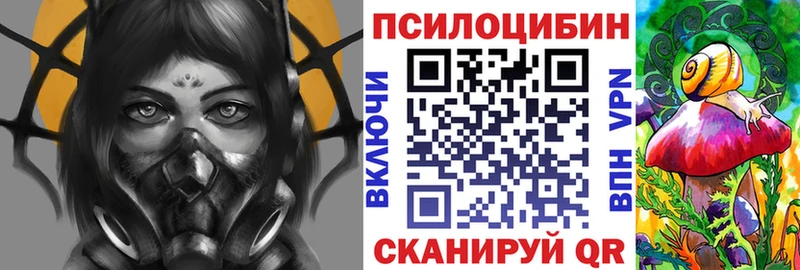 omg зеркало Черняховск Галлюциногенные грибы GOLDEN TEACHER