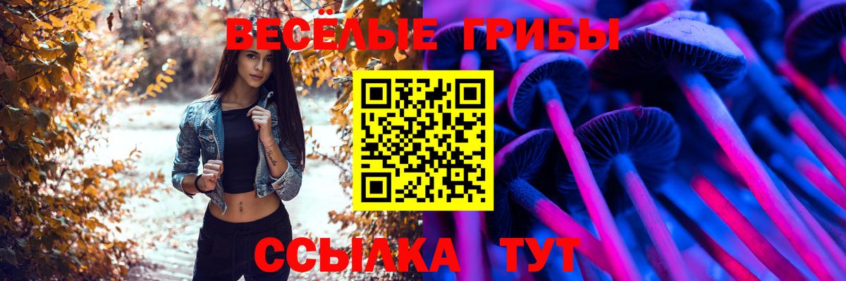 Галлюциногенные грибы мухоморы  Псилоцибиновые грибы Psilocybe  Черняховск  Вход с VPN 