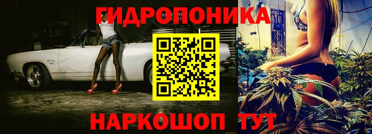 Марихуана AK-47  Шишки марихуана конопля  Конопля конопля  Черняховск  Вход с VPN 
